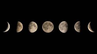 Luna the Moon